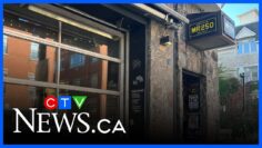 Community shocked after murder-suicide in Montreal bar on Friday night