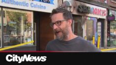 Magic mushroom dispensary fire raises question on illegal business