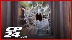 New Statistics Canada report breaks down the rising tide of hate and cyber crime in Canada