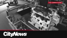 Over $100K worth of goods stolen from Calgary camera store in 90 seconds