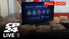 Police seize 38 stolen vehicles and quantity of drugs and guns | CP24 Live at Five for Oct 2, 2025