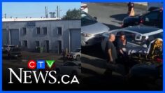 Police shoot and kill 2 dogs after woman attacked in Saint-Leonard