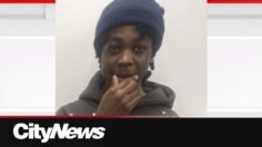 Saskatchewan RCMP investigates the suspicious disappearance of a missing Brampton teenager