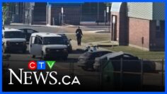 Young man dead after fight escalates in Terrebonne park near Montreal