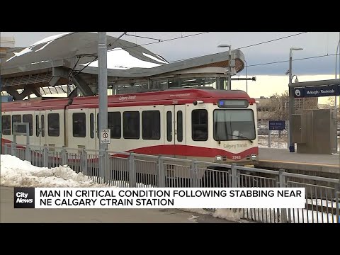 Man in critical condition following stabbing near NE CTrain in Calgary