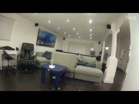 BRAMPTON CALYPSO HUT OWNER ROBBED AT GUNPOINT: Home Invasion Details Exposed