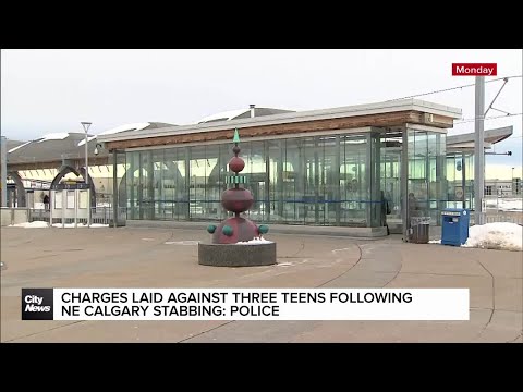 Charges laid against three teens following NE Calgary stabbing: police