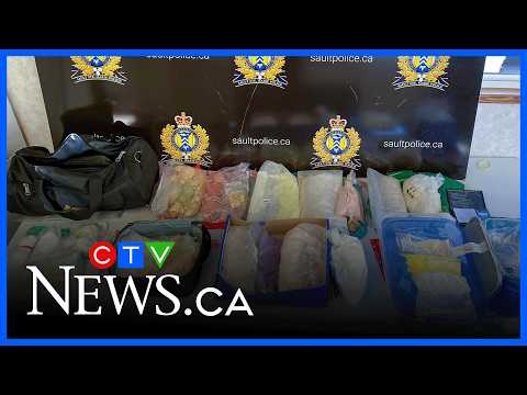 Cash, cocaine, fentanyl haul tops $1.4M in Ontario police bust