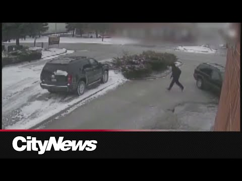 Man wanted in death of mobster Angelo Musitano arrested in Mexico