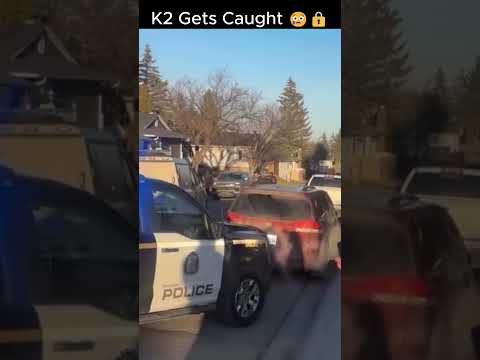 yal gotta see this man ahaha #food #wlw #caribbeanfood – content – WESHH