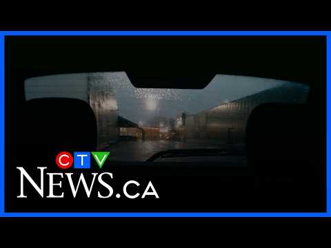 yal gotta see this man ahaha #food #wlw #caribbeanfood – content – WESHH