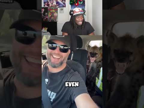 When She hasn’t Texted you back but is posting on her story – Calgary rapper – content – WESHH