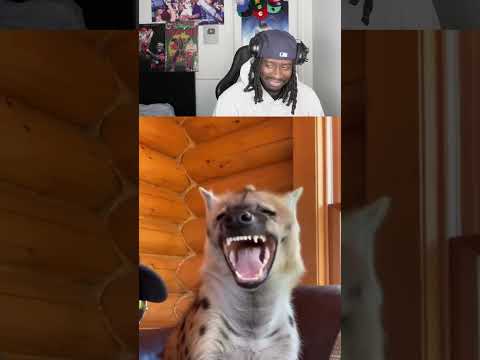 THIS GUY WAS PLAYING THE REAL MANHUNT! – content – WESHH