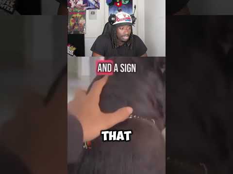 Like & follow for more clips! – content – WESHH