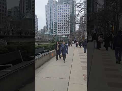 Jesse and xQc Golfing Stream – video – WESHH