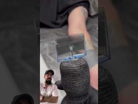 Junior Cat Reveals Early B’s Final Moments 🕊️🇯🇲 – content – WESHH