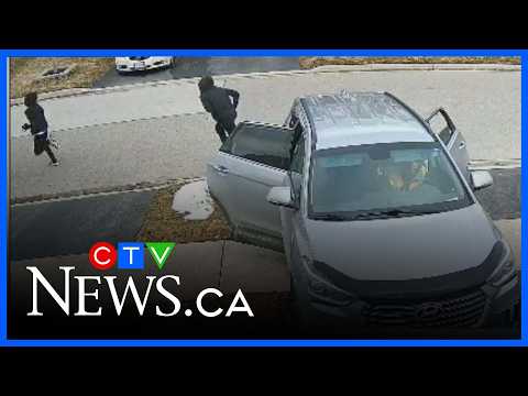 Junior Cat Reveals Early B’s Final Moments 🕊️🇯🇲 – content – WESHH