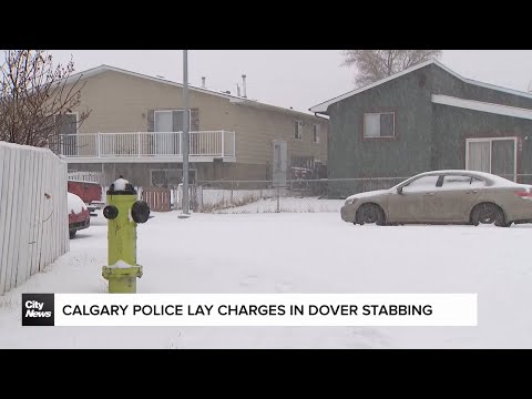 These smoked ribs were incredible! – content – WESHH