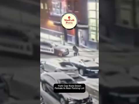 DRIP or TRIP (Bruce Brown)😂 #brucebrown #dripprtrip #fitcheck – content – WESHH