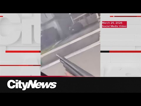 DRIP or TRIP (Bruce Brown)😂 #brucebrown #dripprtrip #fitcheck – content – WESHH