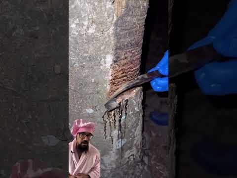 FIFA 2026 Countdown Toronto Event 🇨🇦 #shorts #fifa #torontolife #torontofifa #worldcup2026 – Toronto rapper – content – WESHH