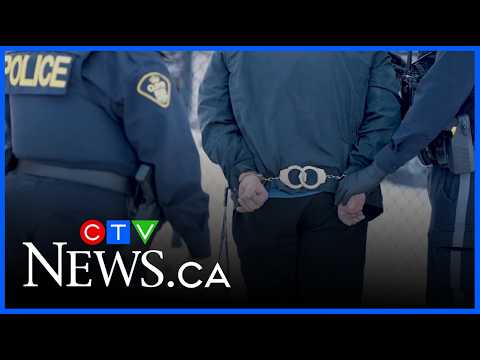 DRIP or TRIP (Bruce Brown)😂 #brucebrown #dripprtrip #fitcheck – content – WESHH