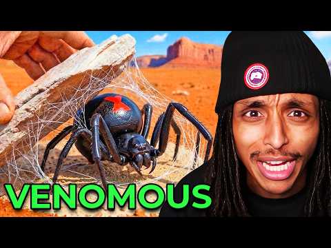 COMPETITIVE FALL GUYS – video – WESHH