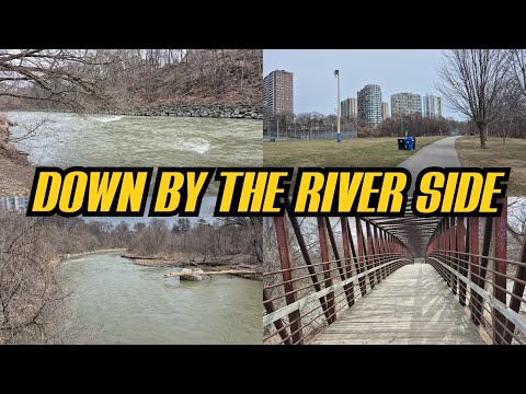 COMPETITIVE FALL GUYS – video – WESHH