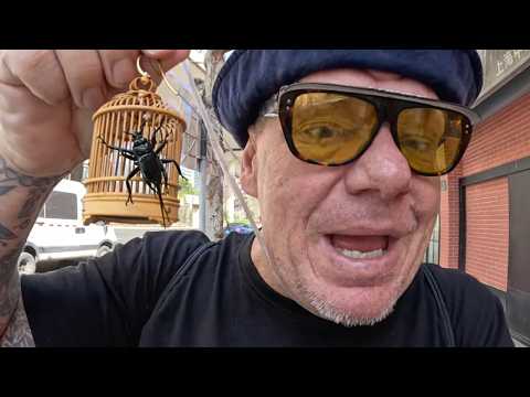 Canadian rappers and content creators – WESHH