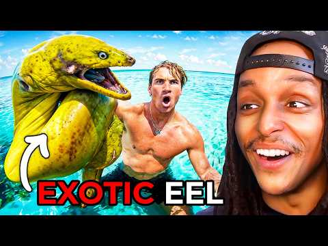 “Touchy” Darren gets told off by cameramen. KEEP YOUR HANDS TO YOURSELF – video – WESHH