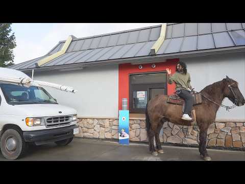 20 Minutes Of Pranking With Animals!