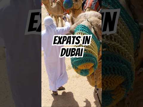 Why Expats Need To Stay In Dubai
