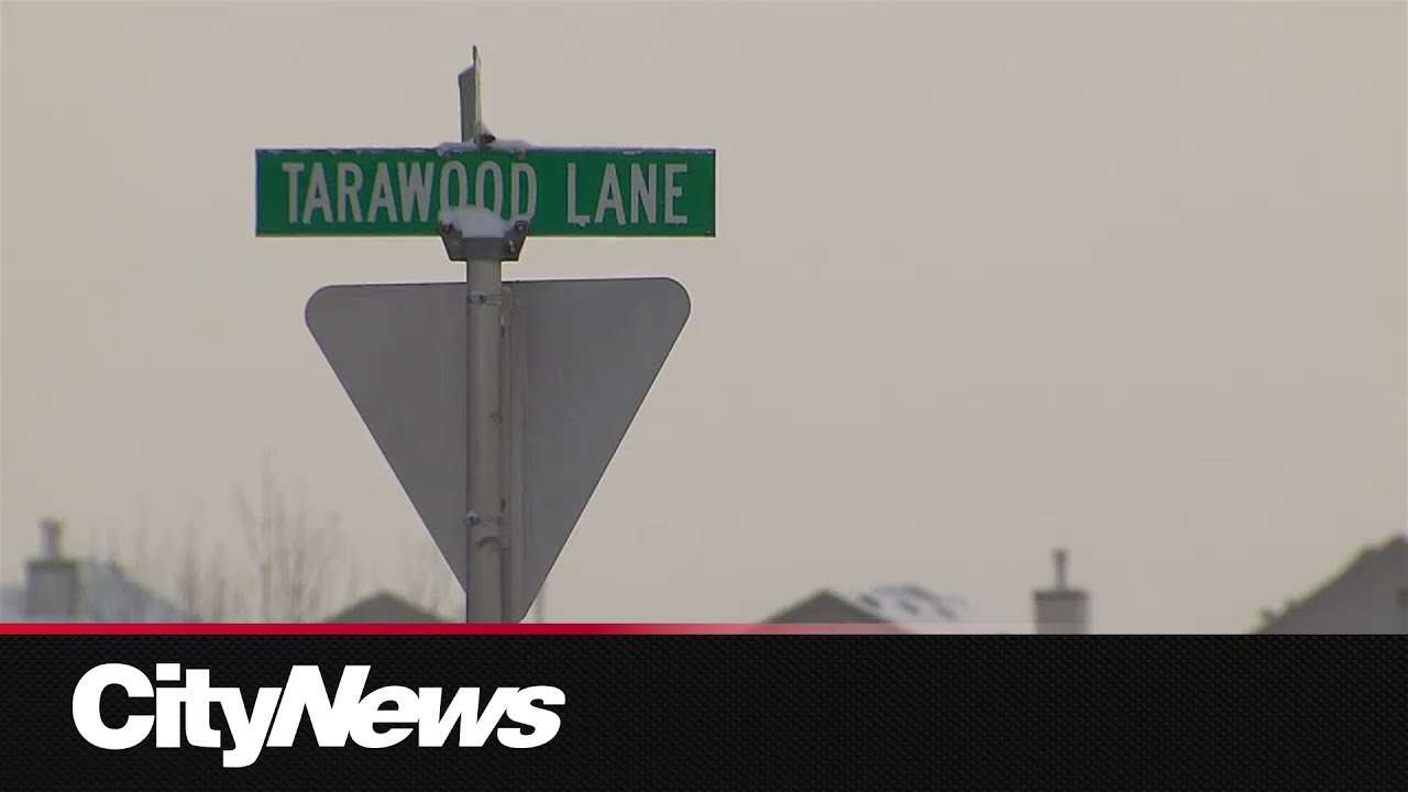 Calgary police attend Friday night shooting in Taradale