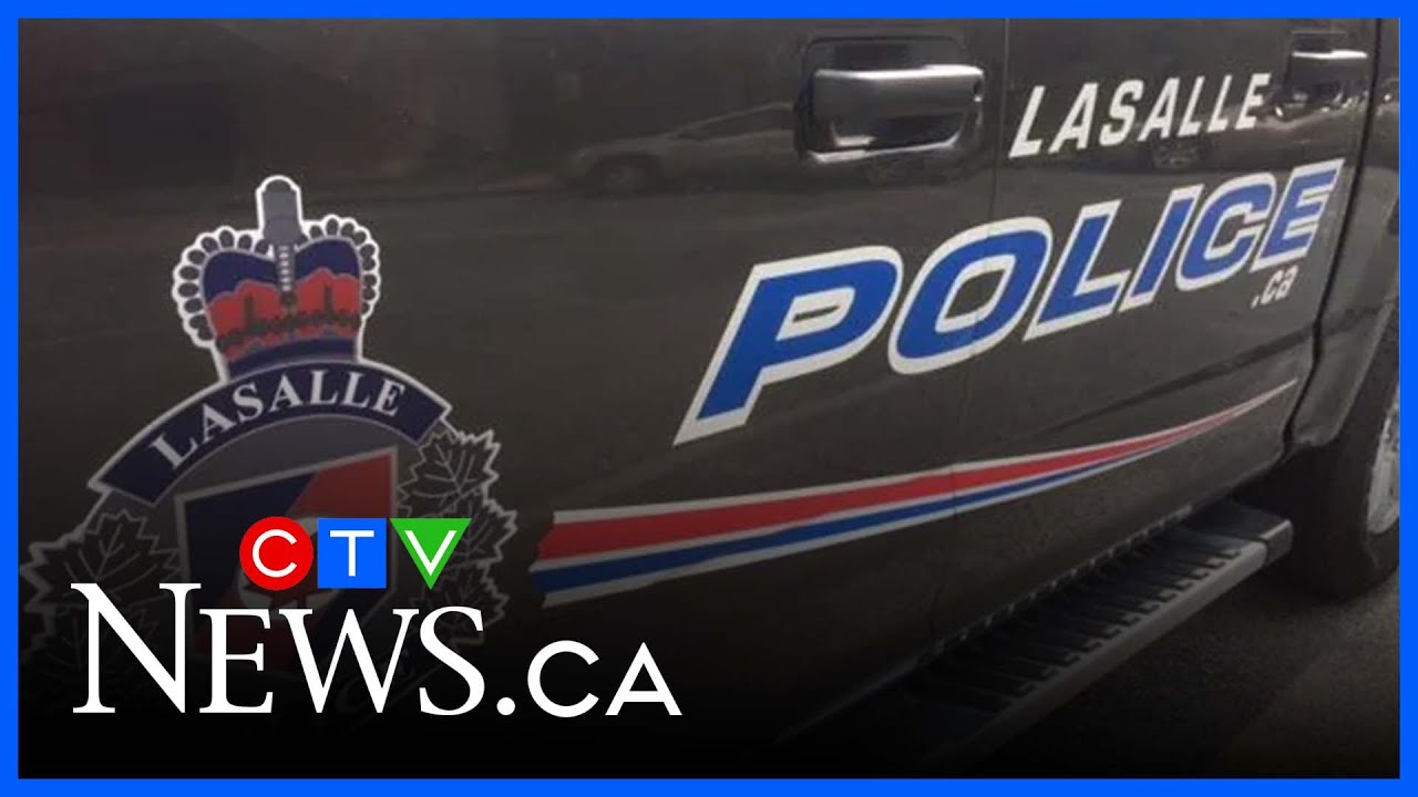 yal gotta see this man ahaha #food #wlw #caribbeanfood – content – WESHH