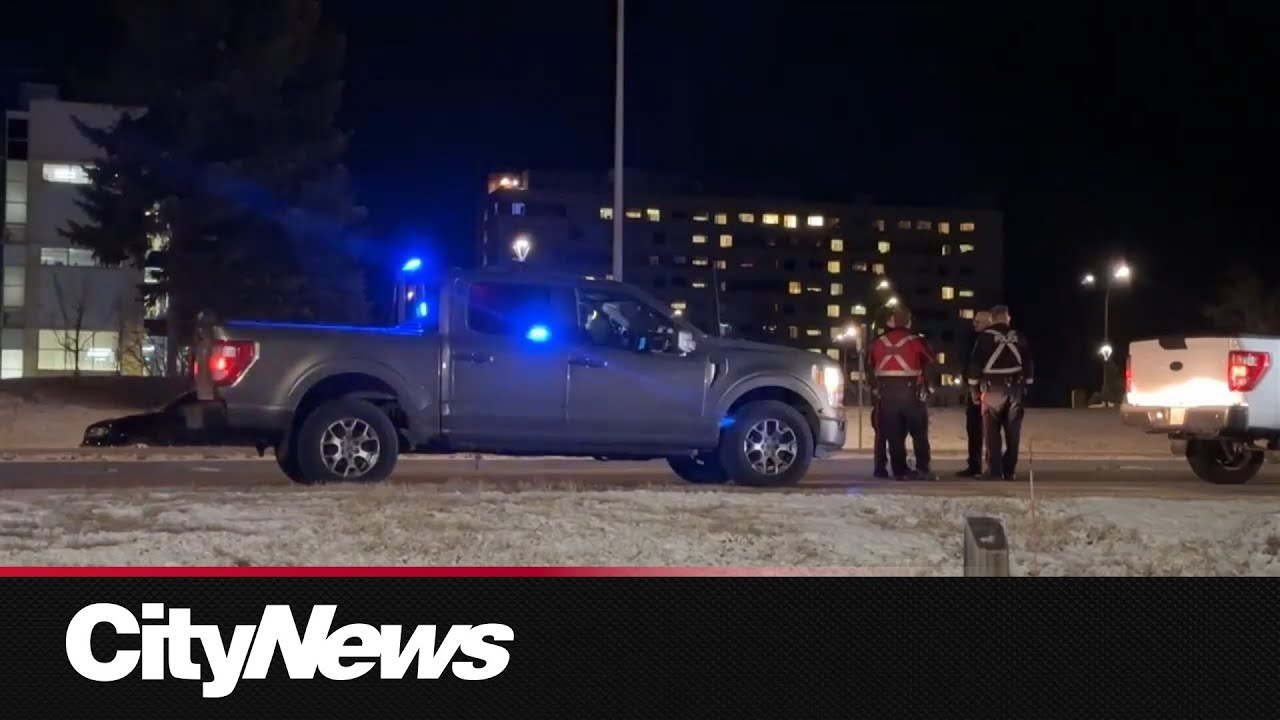 Rate my hair without hurting my feelings 😭✨ – content – WESHH