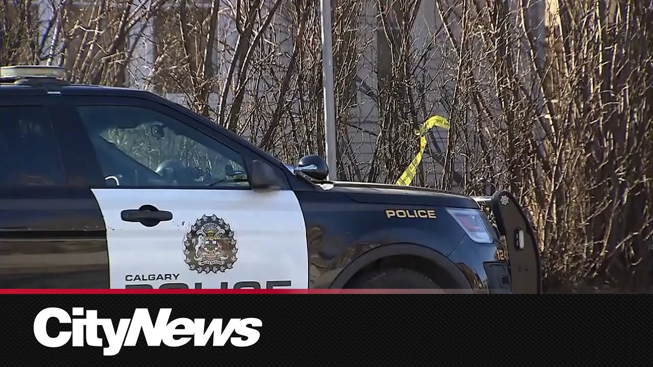 Three people stabbed following fight in SW Calgary: CPS