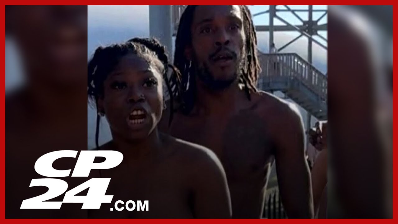 Police search for driver in deadly North York hit-and-run – Toronto rapper – content – WESHH