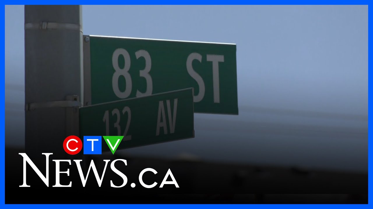 yal gotta see this man ahaha #food #wlw #caribbeanfood – content – WESHH