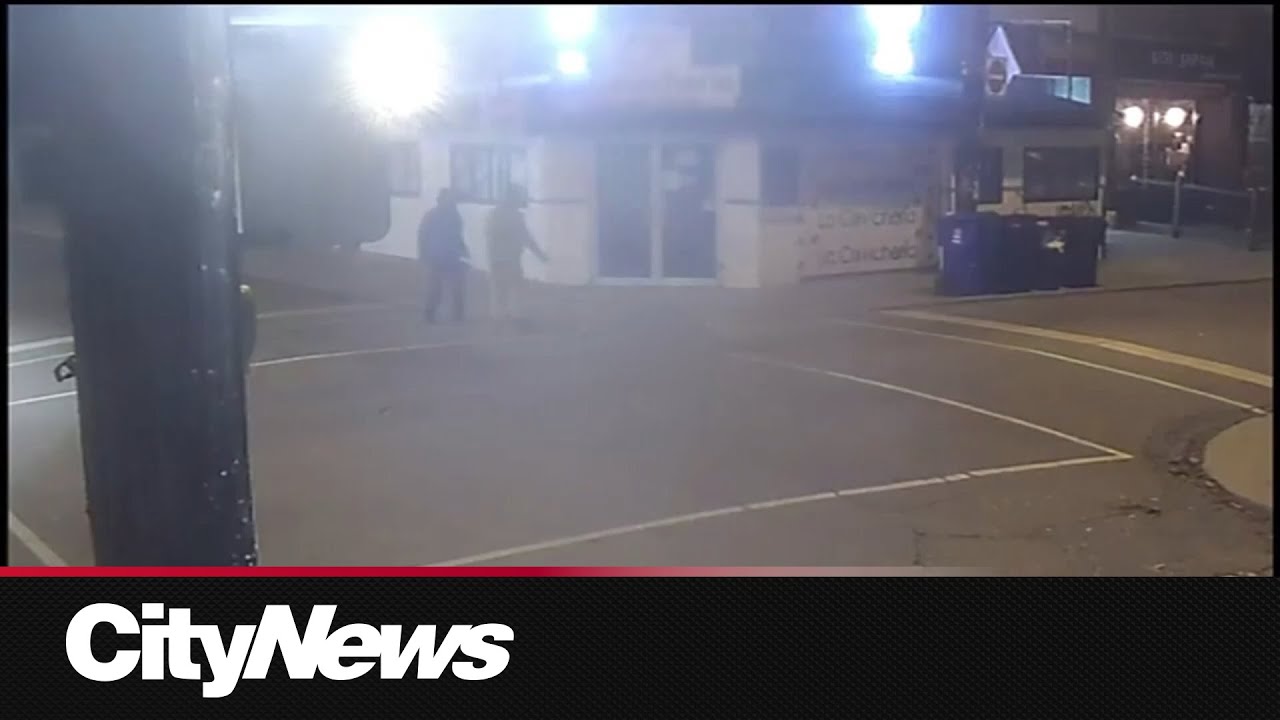 BEST OF ROAD RAGE 2025 | Most Insane Dashcam Videos of the YEAR – content – WESHH