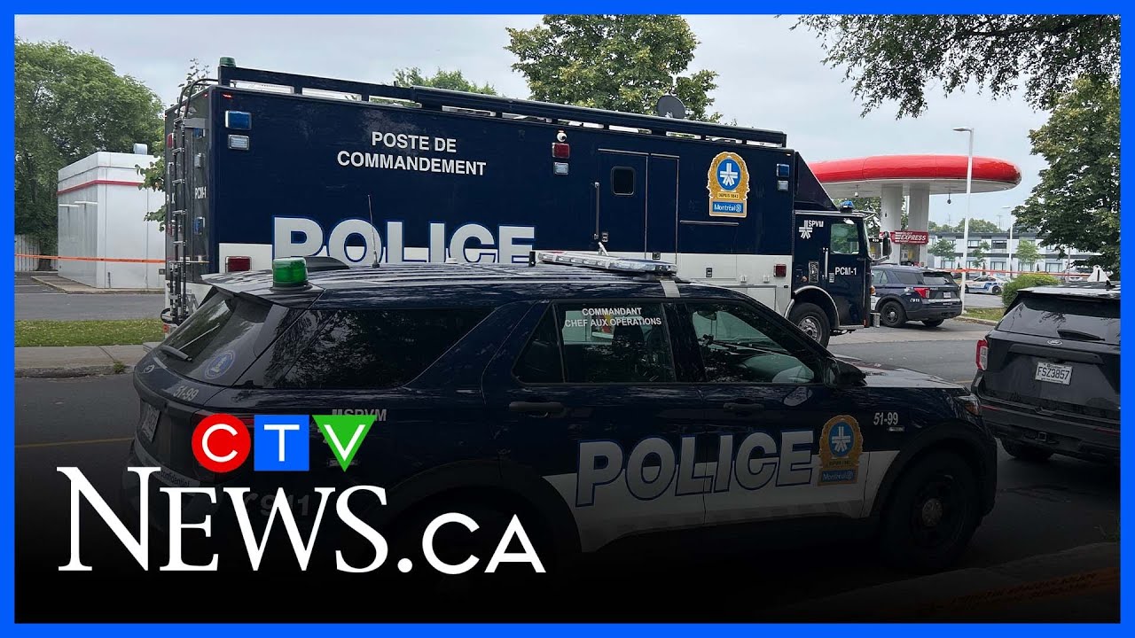 Police search for driver in deadly North York hit-and-run – Toronto rapper – content – WESHH