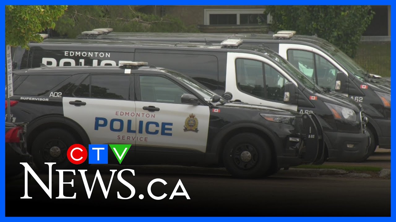 Police search for driver in deadly North York hit-and-run – Toronto rapper – content – WESHH