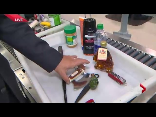 Helping you move through Pearson Airport security checks faster