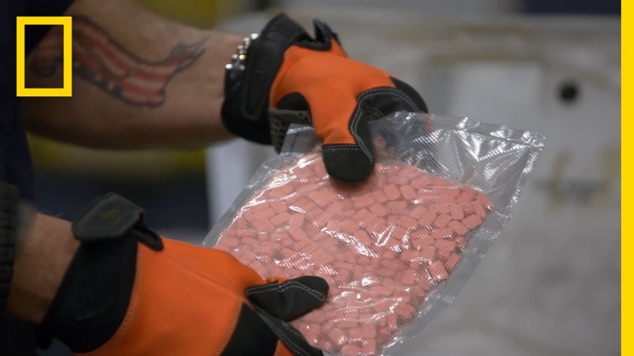 A Dark Web Narcotics Seizure | To Catch a Smuggler
