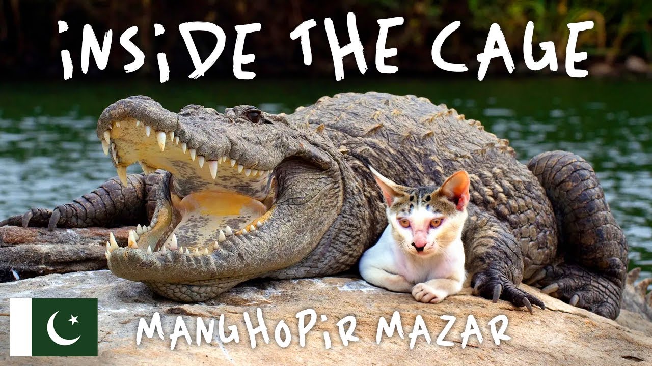 🚨 POLICE OFFICER HIT by Firework in Brampton?! Canada Day Celebration SPIRALS Out of Control – Toronto rapper – content – WESHH