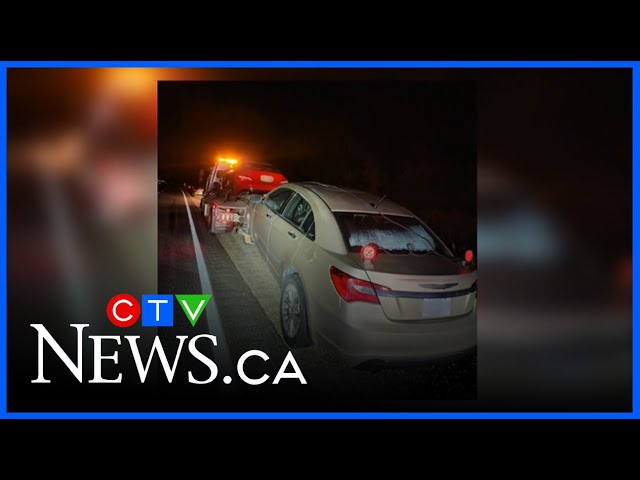 Police search for driver in deadly North York hit-and-run – Toronto rapper – content – WESHH