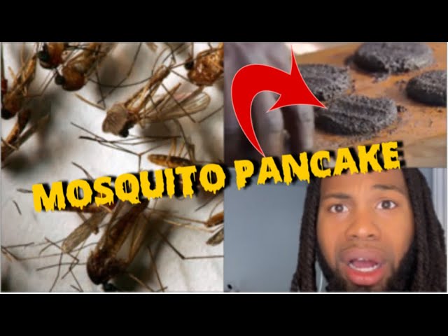 Wow 😮 Mosquito ? You wouldn’t believe that they have no choice !!  #africa ￼#reactionvideo