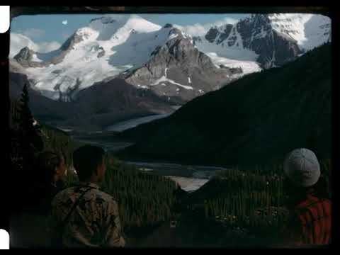 did he steal his ball? 🤣 – content – WESHH