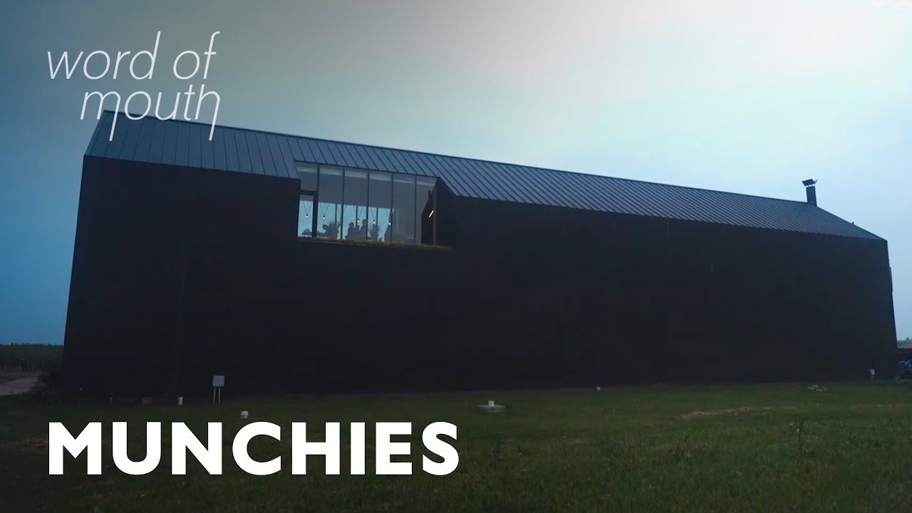 I launched my own AI platform and made 0k in 4 hours – content – WESHH