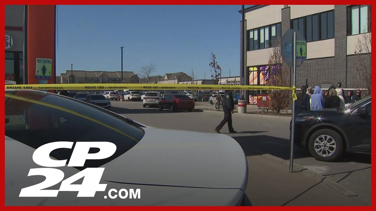 Suspect sketch released in assault of elderly woman in Ajax – Toronto rapper – content – WESHH