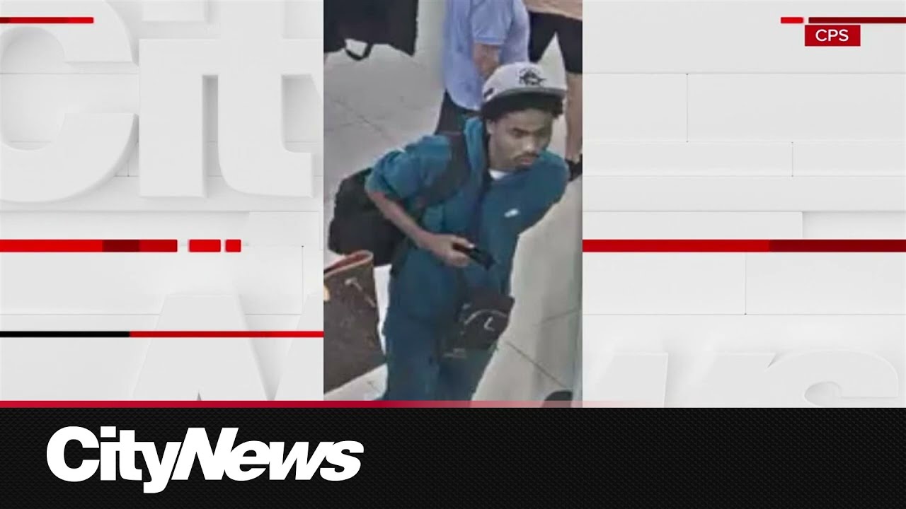 Ravine fire sparks evacuations, road closures in Midtown – Toronto rapper – content – WESHH